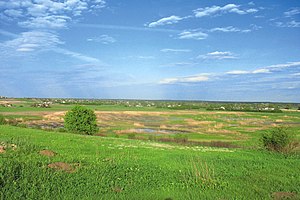 Заплавна низовина біля гирла балки Горіхової