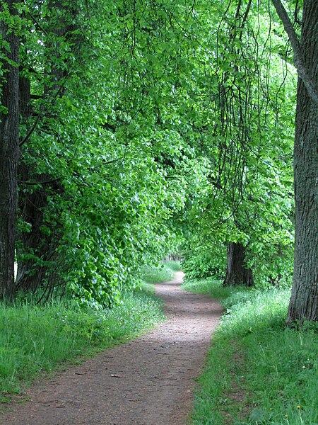 File:Луговой парк, южная часть.jpg