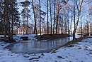 Oranienbaum abril.  Vista do parque para o Palácio de Peter Fedorovich.jpg