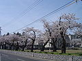 2009年4月20日 (月) 14:50時点における版のサムネイル