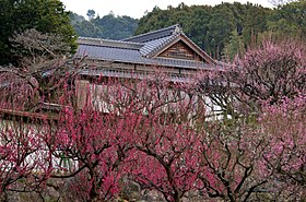 普光寺の梅 - panoramio (2).jpg