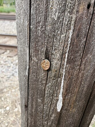 An example of a 1943 date nail in a utility pole 1943 date nail.jpg