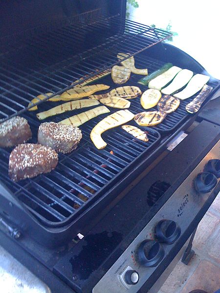 File:2009-365-156 Grill Perfection (3600569239).jpg
