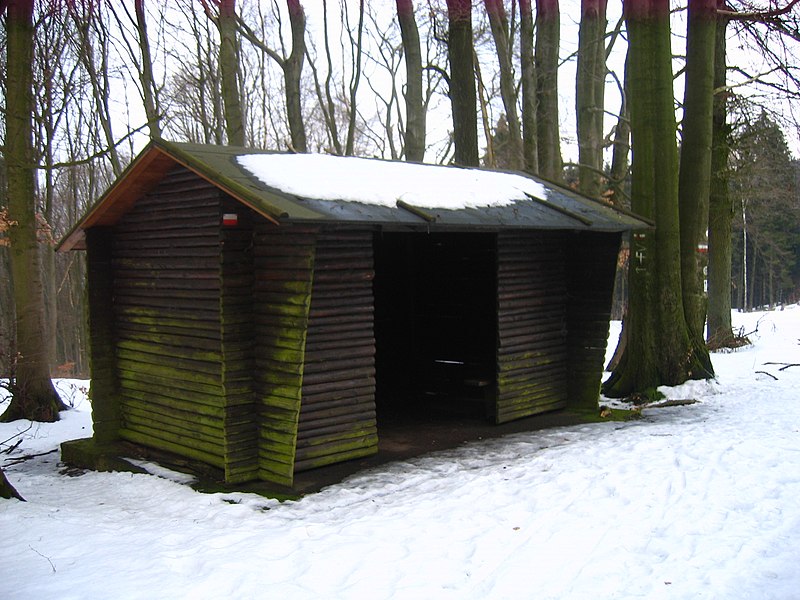 File:2010-02 Wittekindsweg Nonnenstein-Heidbrink 026.jpg