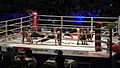 2011 boxing event in Stožice Arena-Sov I.jpg