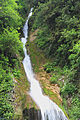 * Nomination Waterfall "Men's tears". Ritsa Relict National Park, Gudauta District, Abkhazia. --Halavar 13:11, 9 February 2015 (UTC) * Decline  Oppose Good composition but overexposed, most of the water lacks detail --Kreuzschnabel 23:49, 12 February 2015 (UTC)
