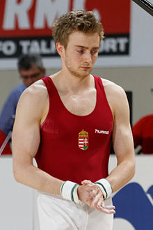 Description de l'image 2015 European Artistic Gymnastics Championships - Pommel horse - Vid Hidvegi 01.jpg.