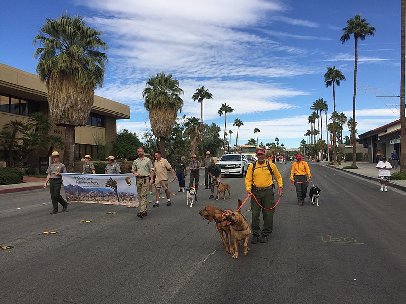 File:2017 Palm Springs Pride Parade (37657428765).jpg