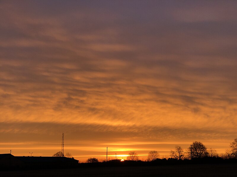 File:2023-12-07 07 12 32 Sunrise with altostratus clouds along Burlington County Routes 630 and 637 (Irick Road) in Westampton Township, Burlington County, New Jersey.jpg