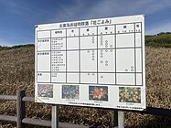 群落に咲く花の開花時期を示した看板。