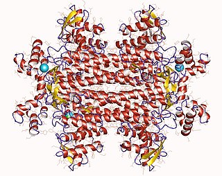 <span class="mw-page-title-main">Aspartate ammonia-lyase</span>