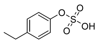 <span class="mw-page-title-main">4-Ethylphenyl sulfate</span> Chemical compound