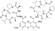 Vorschaubild für 7-Aminoactinomycin
