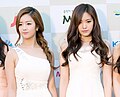 A Pink at 2014 K-pop Awards red carpet 02.jpg