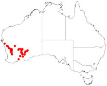 Acacia duriusculaDistMap314.png