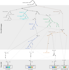 Admixture graph of deep Eurasian lineages.png