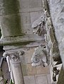 Français : Amiens - Tours de Notre-Dame : Gargouilles.
