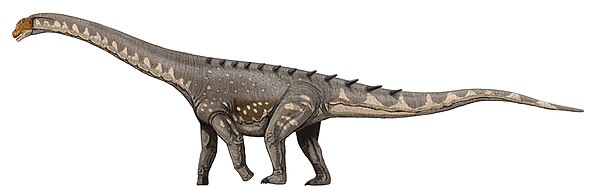 Ampelosaurus, a titanosaur with osteoderms, depicted with the osteoderms arranged in a pair of rows