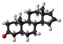 Ball-and-stick model of the androstenone molecule
