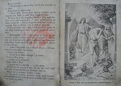 The Expulsion of Adam and Eve from Eden – picture from Mála biblia z-kejpami (Small Bible with pictures) by Péter Kollár (1897).