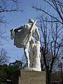 Apollon de Belvedere, Jardin des Plantes