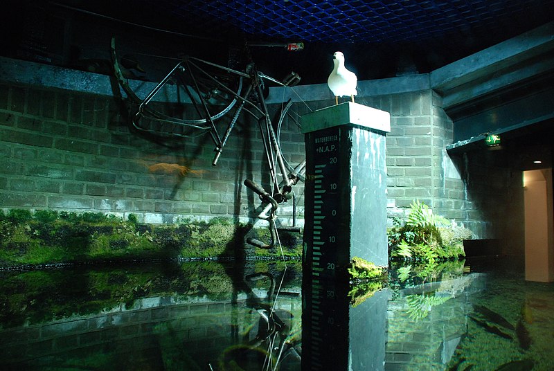 File:Aquarium decoration at Artis (2130013637).jpg