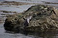 Ardlussa Bay, Jura, western Scotland