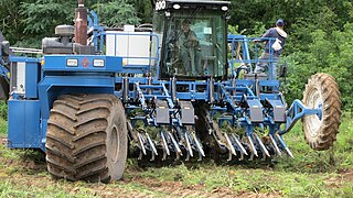 <span class="mw-page-title-main">Carrot harvester</span> Harvesting machine