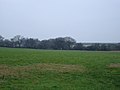 Ash Pit from Horton Road - geograph.org.uk - 297530.jpg