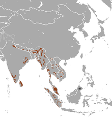 220px-Asian_Elephant_area.png
