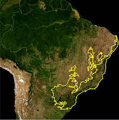 As florestas costeiras da Mata Atlântica, no leste da América do Sul, da Bahia, região sudeste e região sul do Brasil, até a Argentina e Paraguai, são o habitat da saíra-sete-cores (Tangara seledon).[1][2]