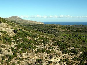 マヨルカ島: 名称, 地理, 歴史