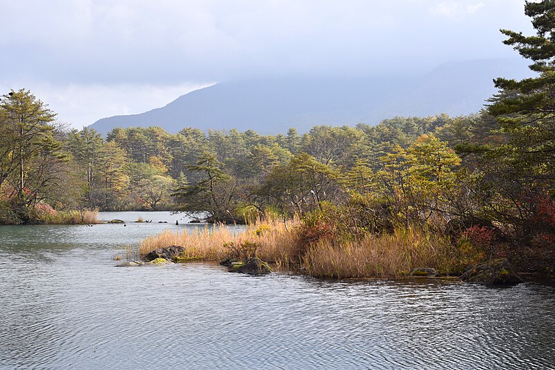 File:Autumn colours at Goshikinuma (37146429894).jpg