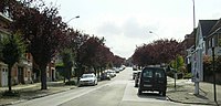 Vignette pour Avenue des Traquets