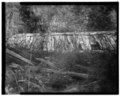 BLACKSMITH SHOP (BUILDING C) SOUTH WALL AND ROOF WITH ADJACENT LOG PILE - Dalton Trail Post, Mile 40, Haines Highway, Haines, Haines Borough, AK HABS AK,7-HAIN.V,1-12.tif