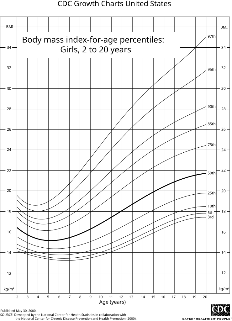 File:BMI weight obesity scale.jpg - Wikipedia