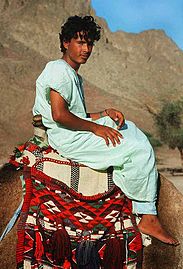 Silla de montar de camello tejida, Israel