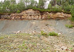 Baltic Klint in Kõrkküla, June 2010.jpg