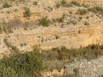 En la orilla izquierda de la Rambla de La Colaita (afluente del Riu Sec en Catadau, Valencia) pueden verse estratos sucesivos de margas más o menos arcillosas, cantos rodados con caliza más pura y consistente y muros de piedra realizados por los agricultores para evitar la erosión