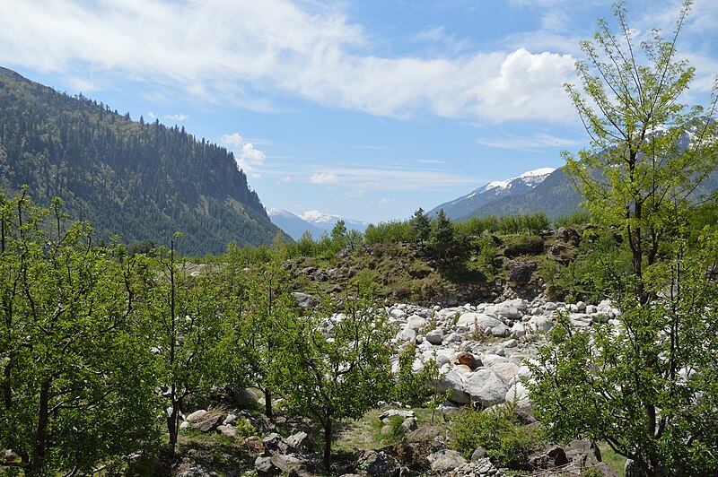 File:Beas Valley - Palchan - Kullu 2014-05-10 2292.JPG