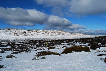 Nationaal park Ben Lomond