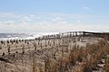 Bethany Beach - panoramio (4).jpg