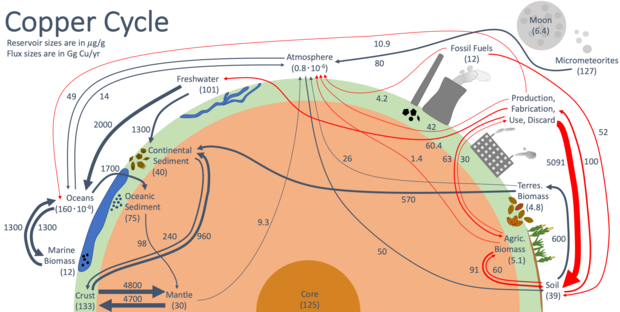 Main global reservoirs and fluxes of the copper cycle Biogeochemical Cycle of Copper.png