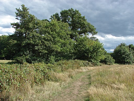 Blackwater Valley Path - geograph.org.uk - 3632174