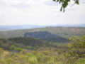 Vexetacón característica na rexión noroeste de Minas Gerais, Brasil.