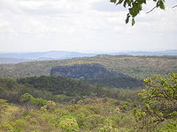 Ecorregión del Cerrado