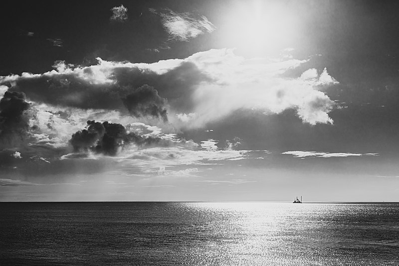 File:Borkum, Reede, Blick auf das Wattenmeer -- 2020 -- 2871 (bw).jpg