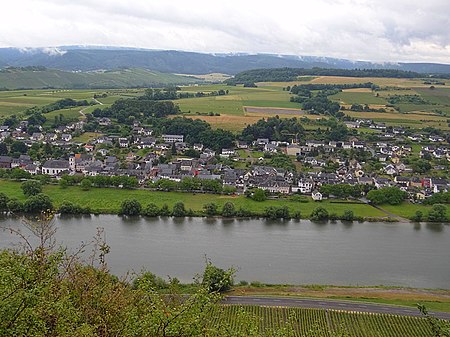 Brauneberg