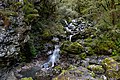 * Nomination Bridal Veil Creek, Arthur's Pass National Park --Podzemnik 01:55, 21 October 2020 (UTC) * Promotion  Support Good quality -- Johann Jaritz 02:59, 21 October 2020 (UTC)