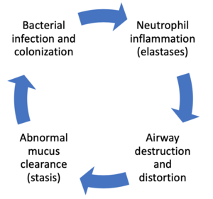 Bronchiectasis